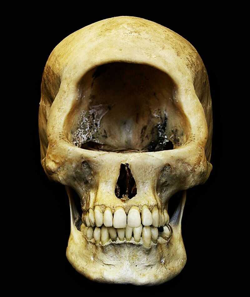 CYCLOPS SKULL | Geisterfotos, Archäologie, Geister