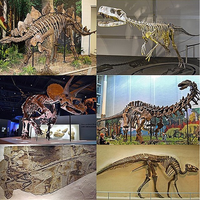 Dinosaur - Wikipedia