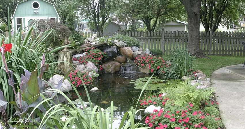 backyard pond